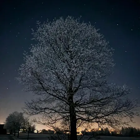 Tatil Evi Haus Brockenblick *